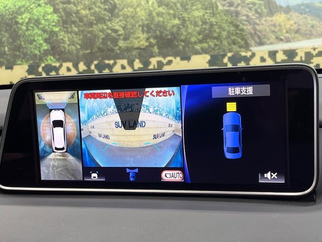 TOYOTA LEXUS RX450H AWD 2017 Image 31