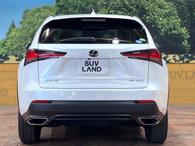 TOYOTA LEXUS NX300 2017 Image 31