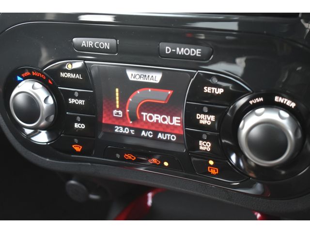 NISSAN JUKE 2011 Image 31