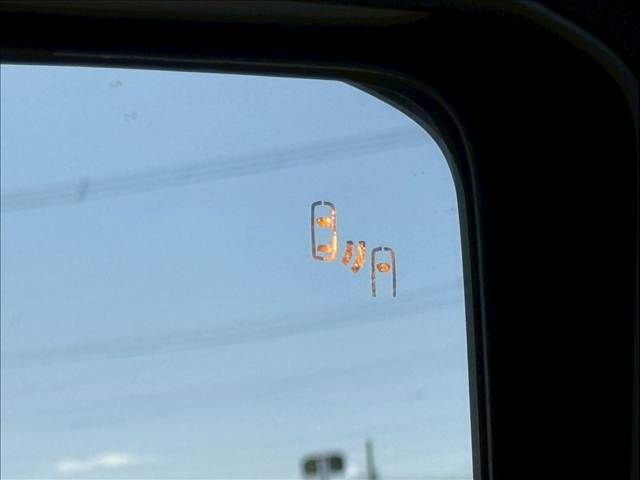 TOYOTA LANDCRUISER 250 2024 Image 31