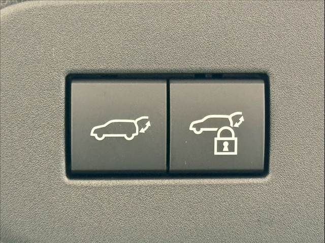 TOYOTA LANDCRUISER 250 2024 Image 31