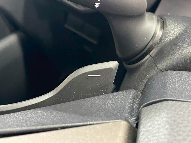 TOYOTA LANDCRUISER 250 2024 Image 31