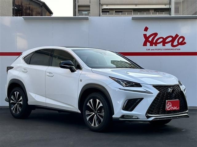 TOYOTA LEXUS NX300 2019 Image 31