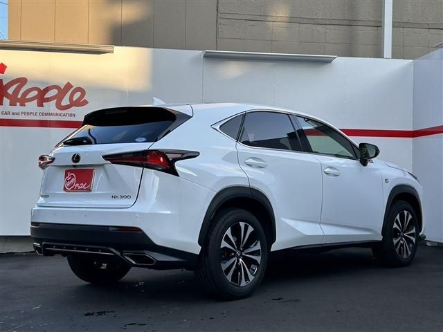 TOYOTA LEXUS NX300 2019 Image 31