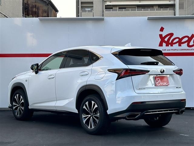 TOYOTA LEXUS NX300 2019 Image 31