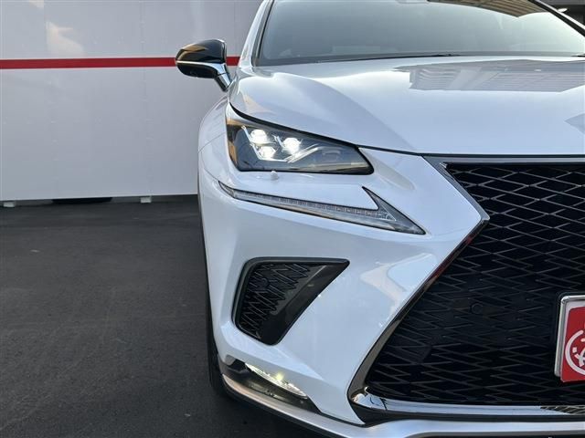 TOYOTA LEXUS NX300 2019 Image 31