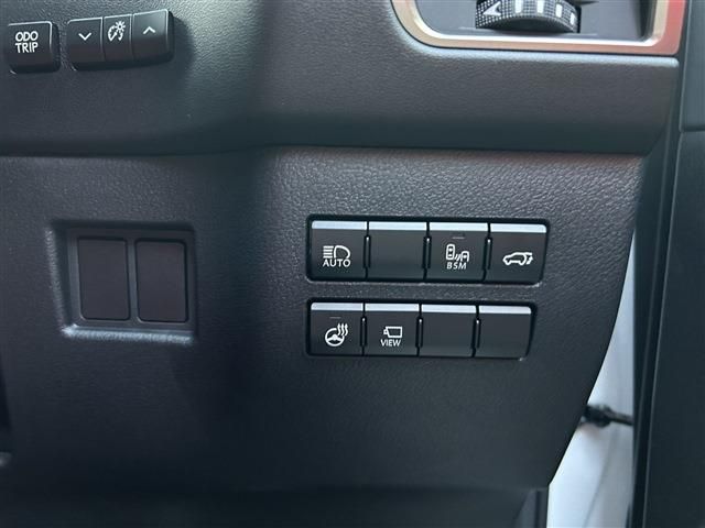 TOYOTA LEXUS NX300 2019 Image 31