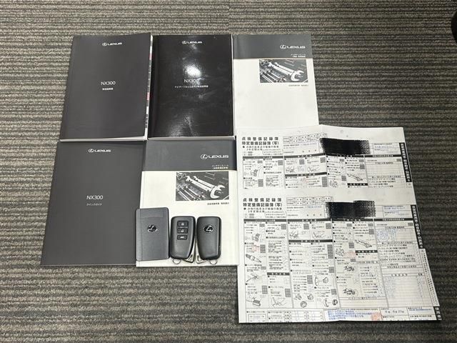 TOYOTA LEXUS NX300 2019 Image 31