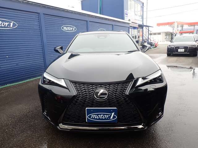TOYOTA LEXUS UX300H 2024 Image 31