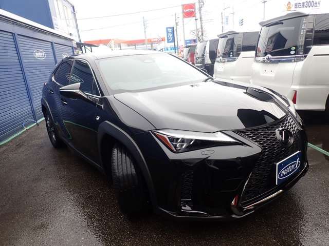 TOYOTA LEXUS UX300H 2024 Image 31