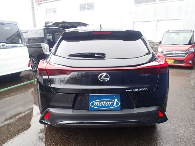 TOYOTA LEXUS UX300H 2024 Image 31