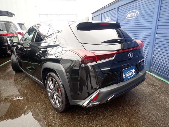 TOYOTA LEXUS UX300H 2024 Image 31