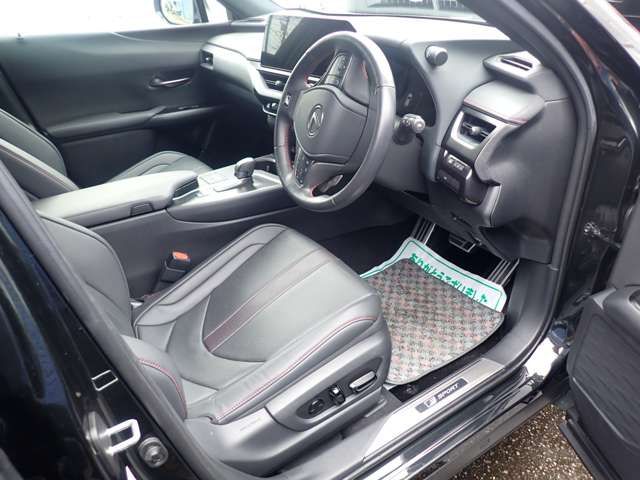 TOYOTA LEXUS UX300H 2024 Image 31