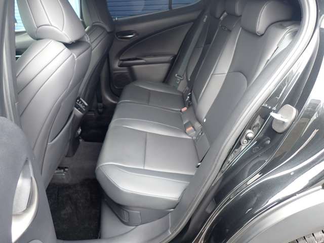 TOYOTA LEXUS UX300H 2024 Image 31