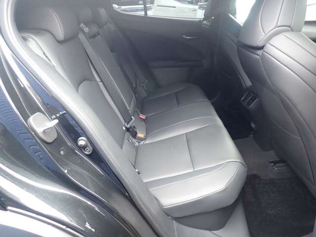 TOYOTA LEXUS UX300H 2024 Image 31