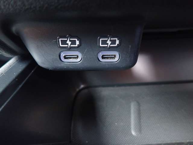 TOYOTA LEXUS UX300H 2024 Image 31