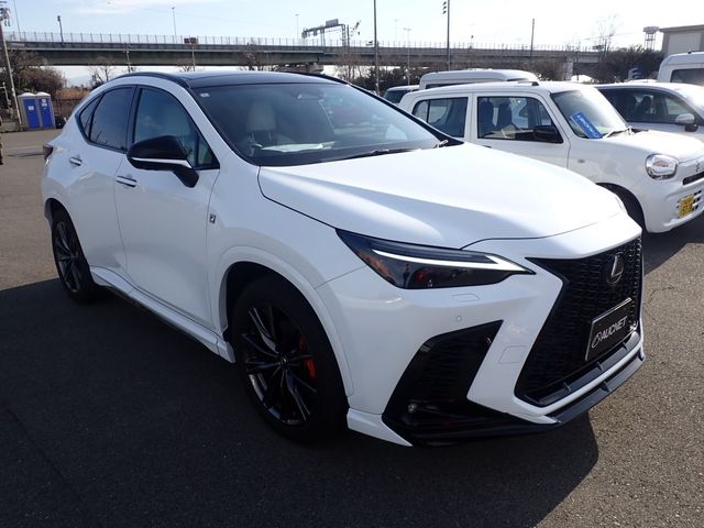 TOYOTA LEXUS NX350H 2024 Image 31