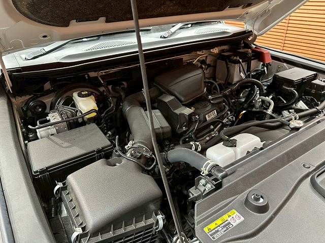 TOYOTA LANDCRUISER 250 2025 Image 31