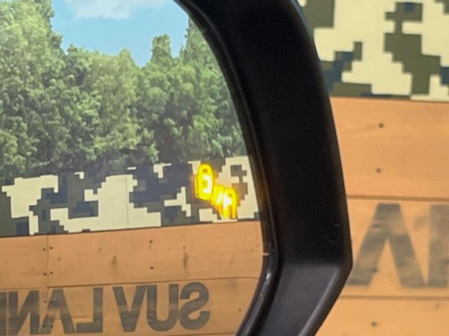 TOYOTA RAV4 4WD 2019 Image 31