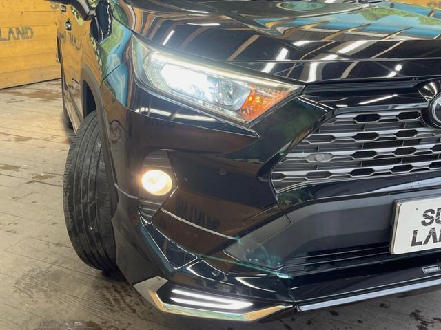 TOYOTA RAV4 4WD 2019 Image 31