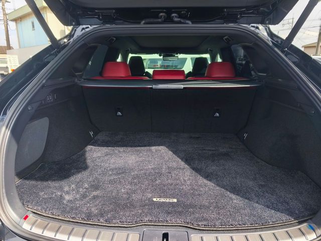 TOYOTA LEXUS RX350 AWD 2024 Image 31