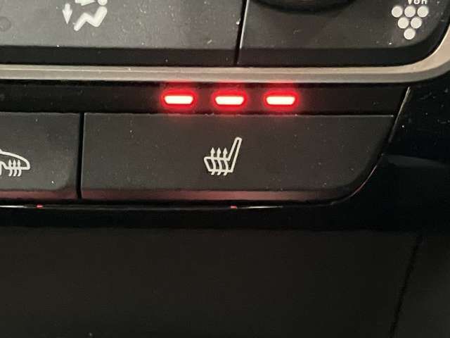 HONDA INSIGHT SEDAN 2019 Image 31