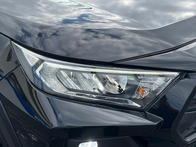 TOYOTA RAV4 4WD 2019 Image 31