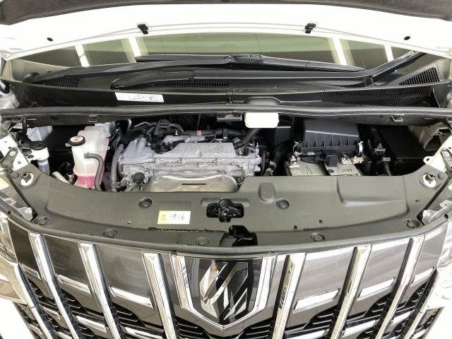 TOYOTA ALPHARD 2022 Image 31
