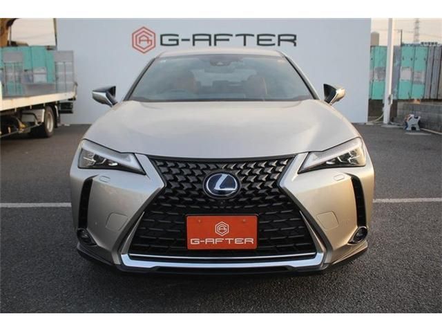 TOYOTA LEXUS UX250H AWD 2019 Image 31
