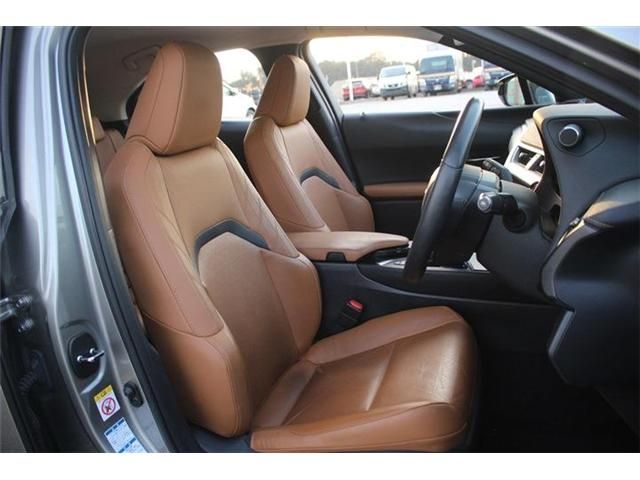 TOYOTA LEXUS UX250H AWD 2019 Image 31