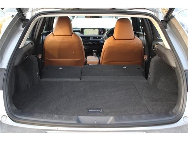 TOYOTA LEXUS UX250H AWD 2019 Image 31