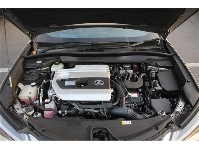 TOYOTA LEXUS UX250H AWD 2019 Image 31