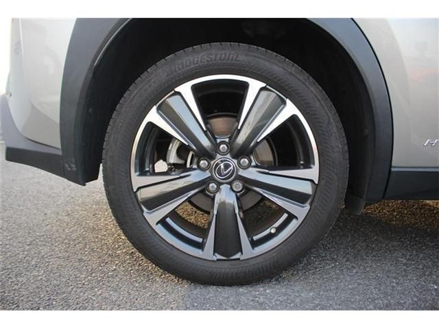 TOYOTA LEXUS UX250H AWD 2019 Image 31