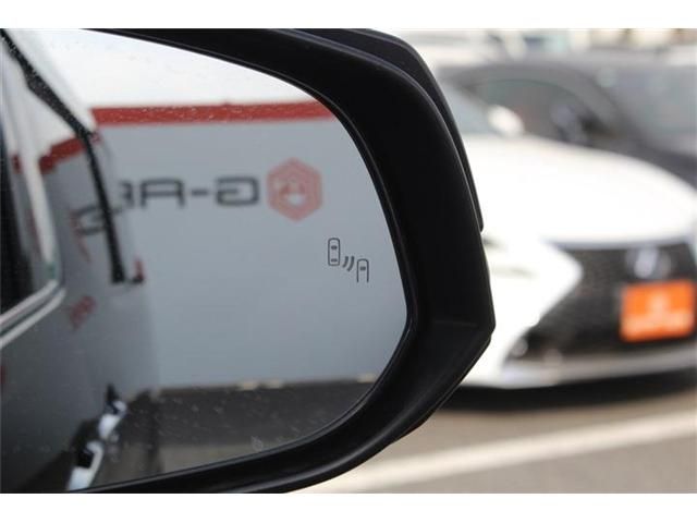 TOYOTA ALPHARD 2020 Image 31