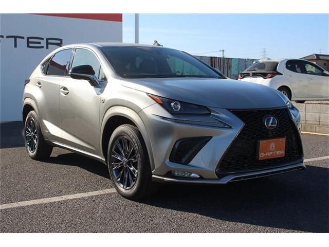 TOYOTA LEXUS NX300H AWD 2020 Image 31