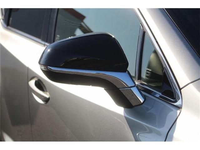 TOYOTA LEXUS NX300H AWD 2020 Image 31