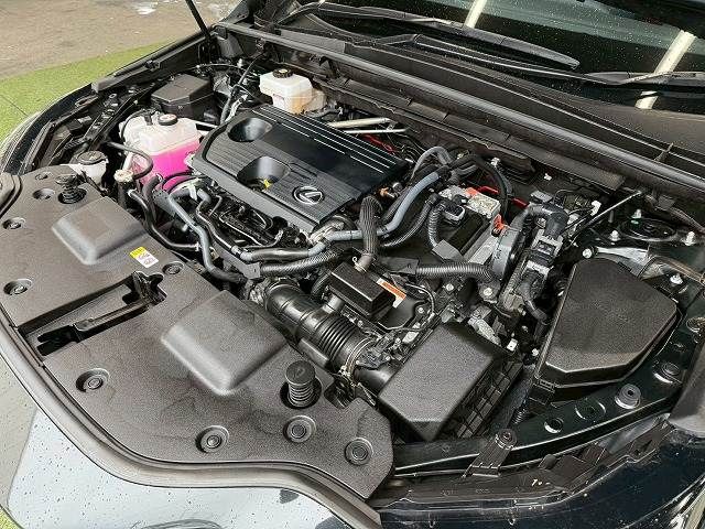 TOYOTA LEXUS NX350H 2023 Image 31