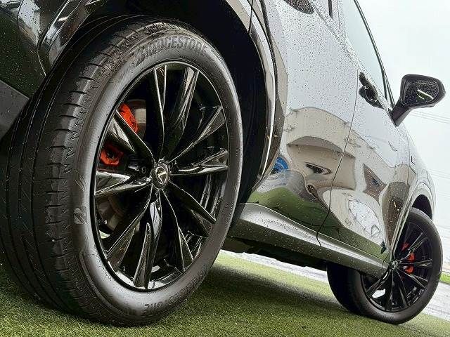 TOYOTA LEXUS NX350H 2023 Image 31