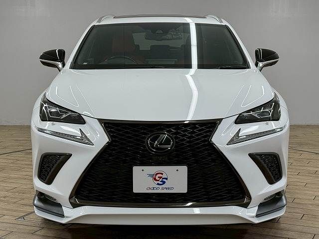 TOYOTA LEXUS NX300 2020 Image 31