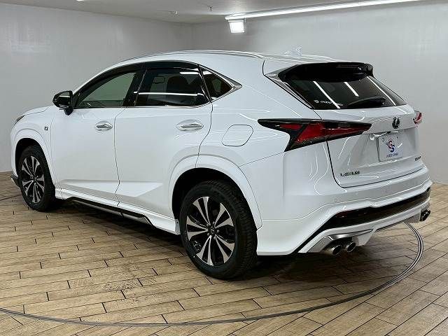 TOYOTA LEXUS NX300 2020 Image 31