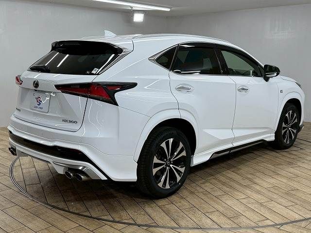 TOYOTA LEXUS NX300 2020 Image 31