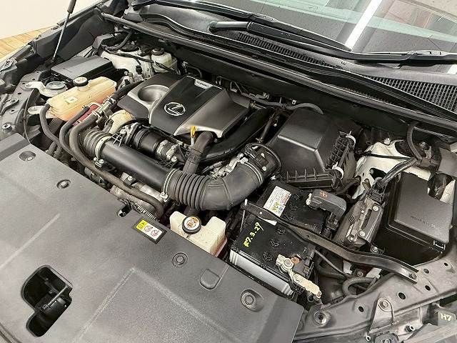 TOYOTA LEXUS NX300 2020 Image 31