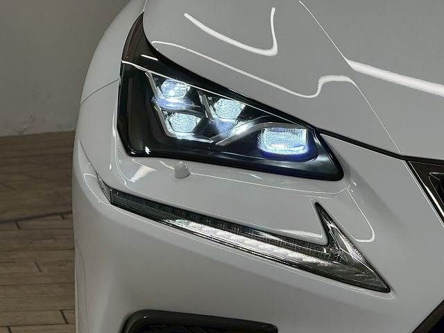 TOYOTA LEXUS NX300 2020 Image 31