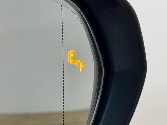 TOYOTA LEXUS NX350 AWD 2024 Image 31