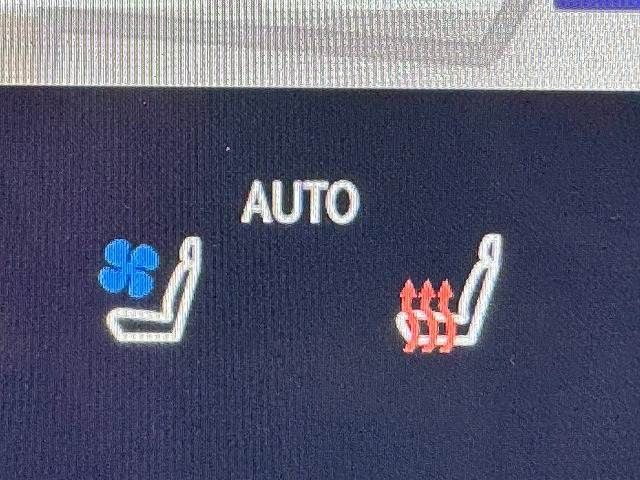 TOYOTA LEXUS NX350 AWD 2024 Image 31