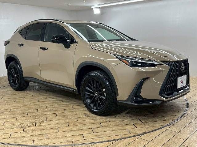 TOYOTA LEXUS NX350 AWD 2024 Image 31