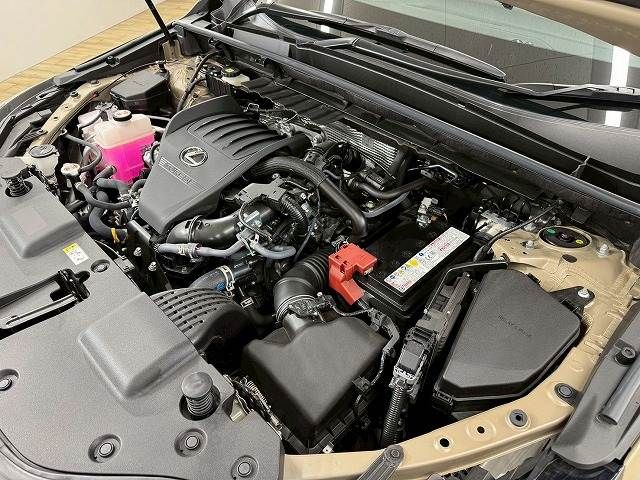 TOYOTA LEXUS NX350 AWD 2024 Image 31