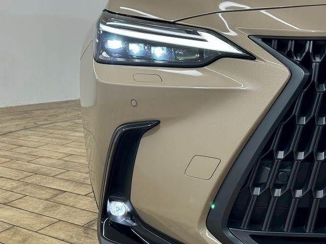 TOYOTA LEXUS NX350 AWD 2024 Image 31