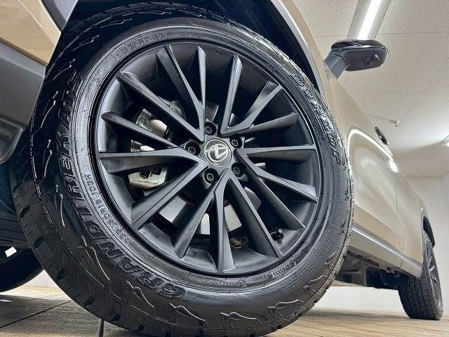 TOYOTA LEXUS NX350 AWD 2024 Image 31