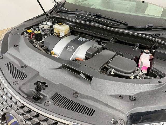 TOYOTA LEXUS RX450H AWD 2022 Image 31